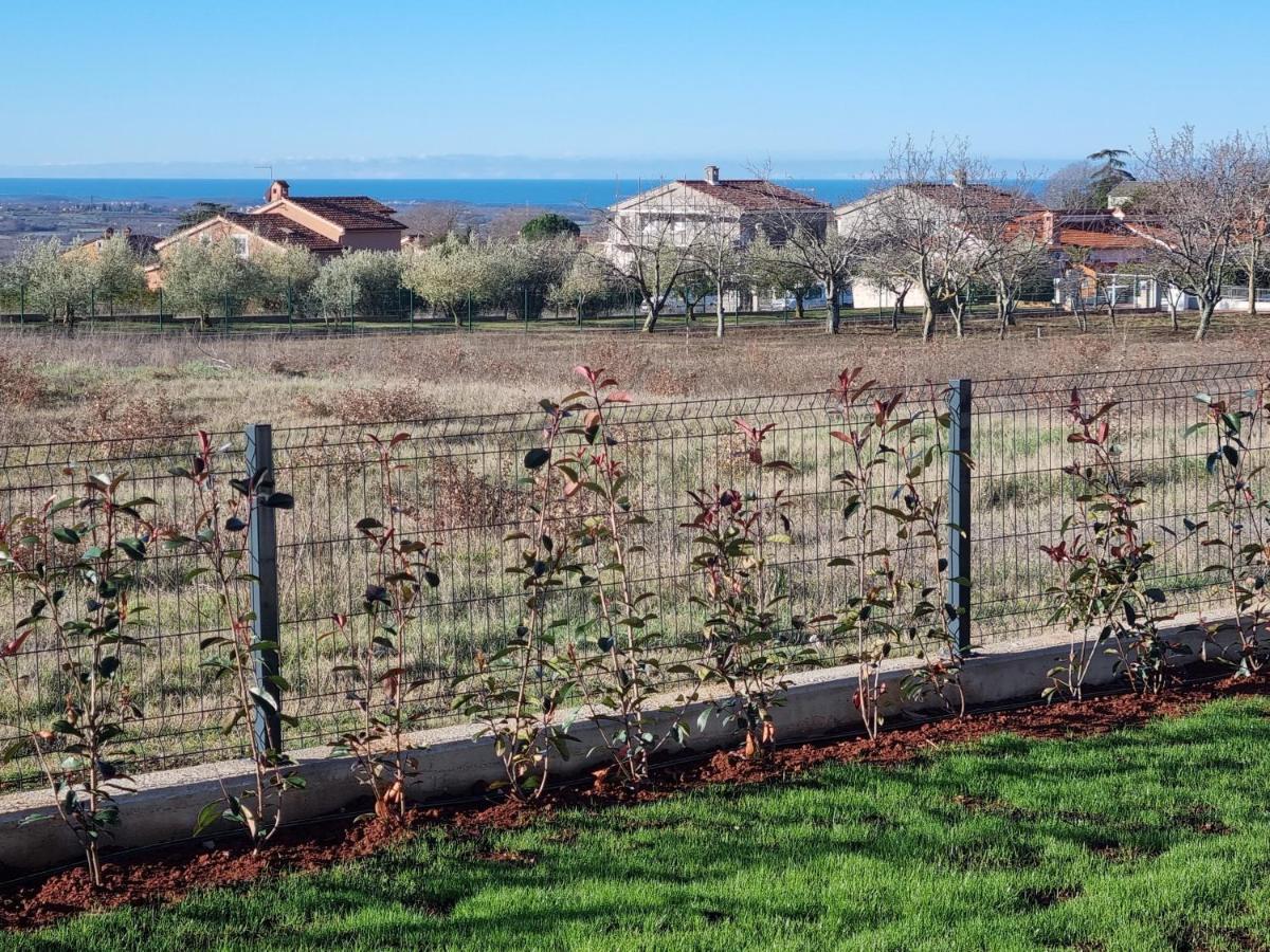 Villa Robert Kaštelir Dış mekan fotoğraf